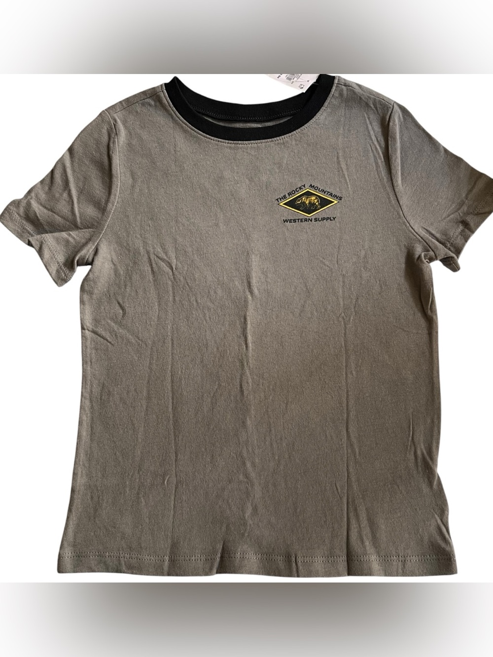 NWT Old Navy Rocky Mountains Bear Graphic Tee Gray Boys Size 6T